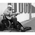 der Teddy im Gitarrenkasten.....