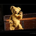Der Teddybär #1