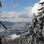 Der Tegernsee vom Wallberg-Abstieg