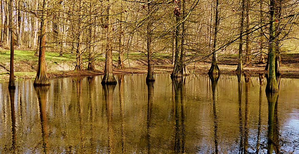 Der Teich . . .