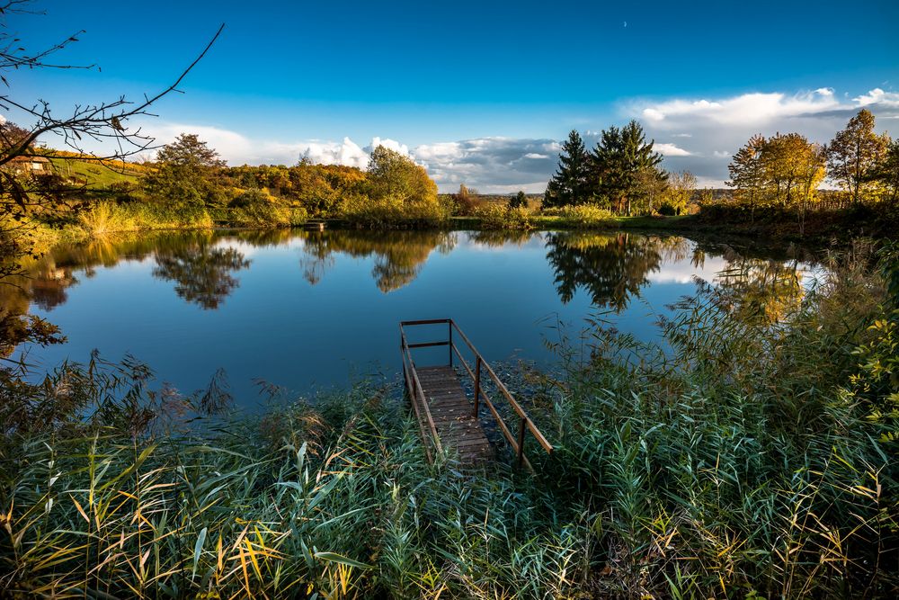 Der Teich Foto & Bild natur, landschaft, motive Bilder auf