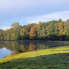 Der Teich am Morgen