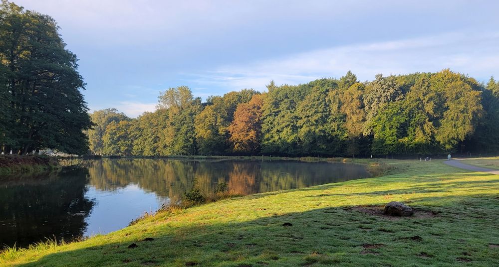 Der Teich am Morgen