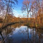 Der Teich an der Rosenaue