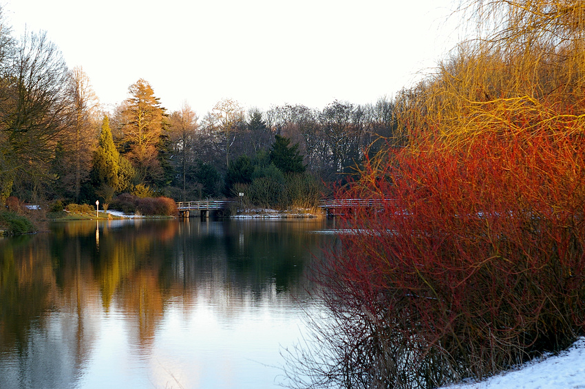 Der Teich ( Archiv )