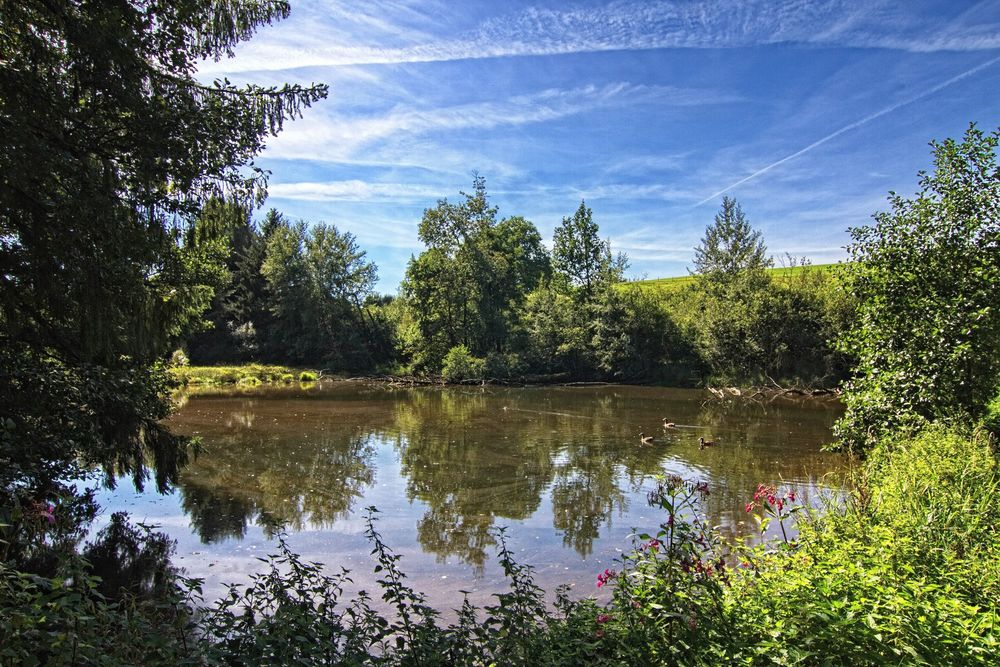 Der Teich bei Berkermühle