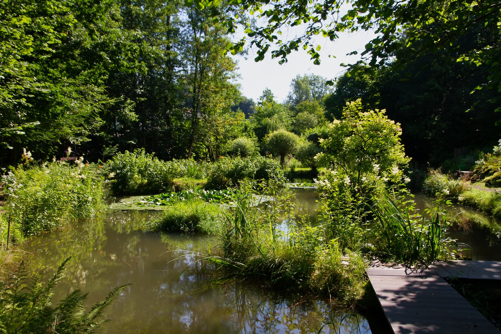Der Teich Foto & Bild landschaft, bach, fluss & see, see, teich