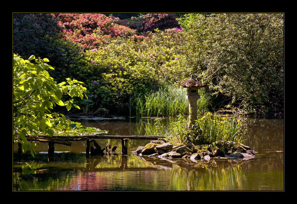 Der Teich der tausend Frösche