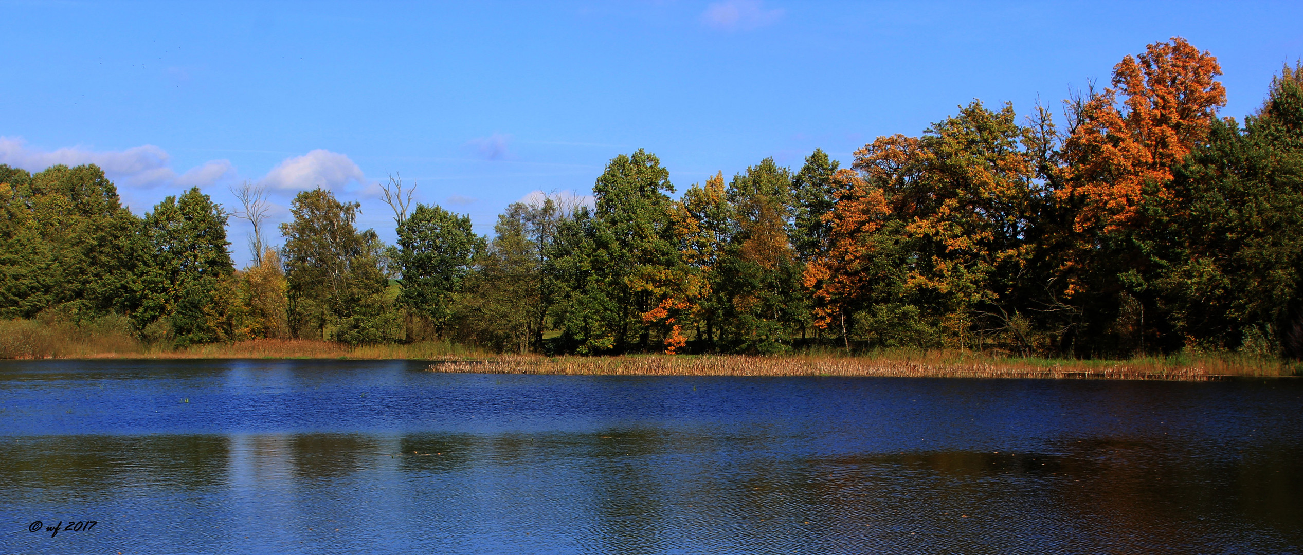 Der Teich