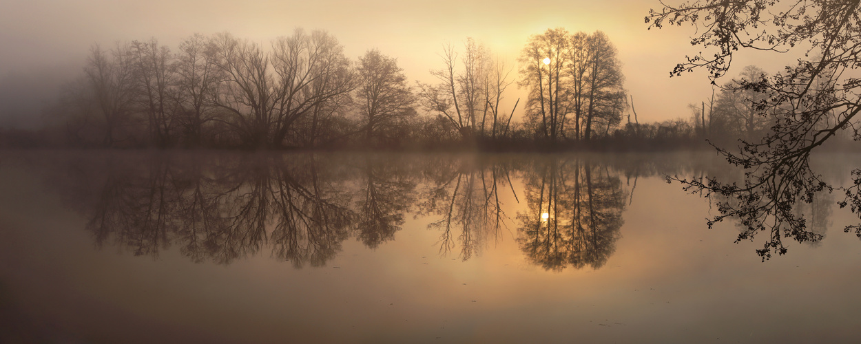 Der Teich erwacht ...