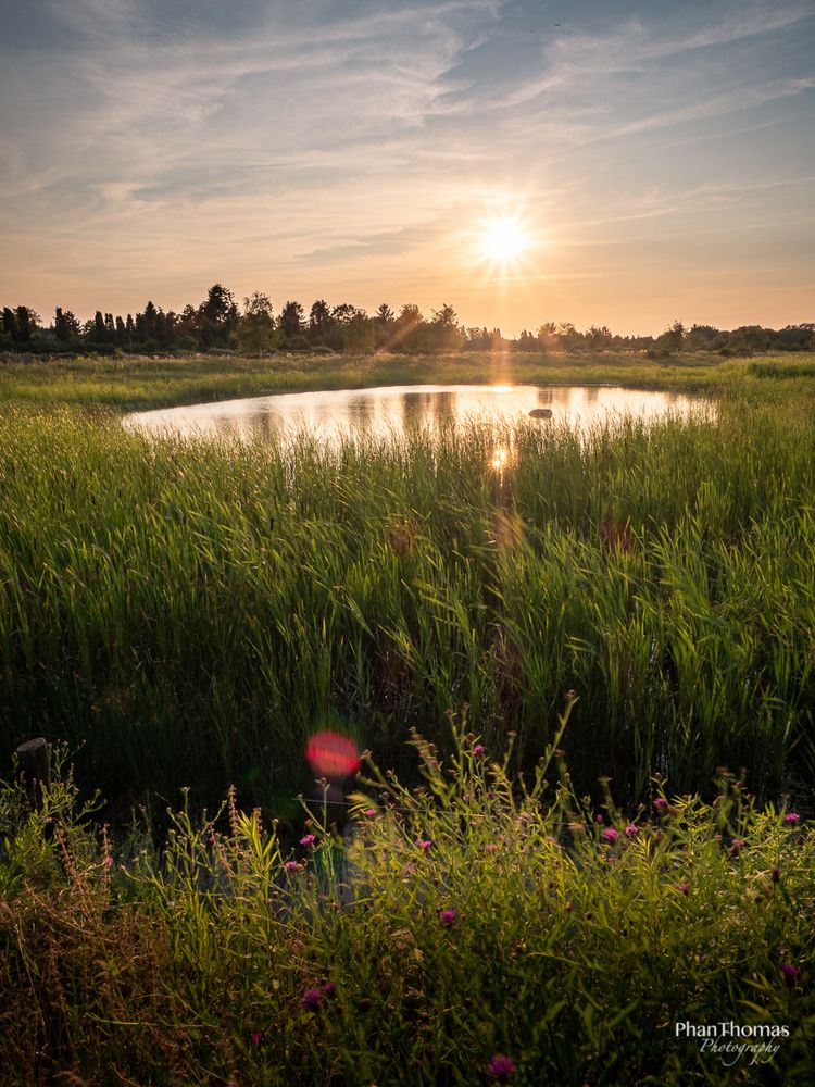 Der Teich Foto & Bild landschaft, bach, fluss & see, see, teich