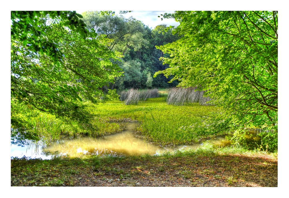 Der Teich Foto & Bild landschaft, bach, fluss & see, see, teich