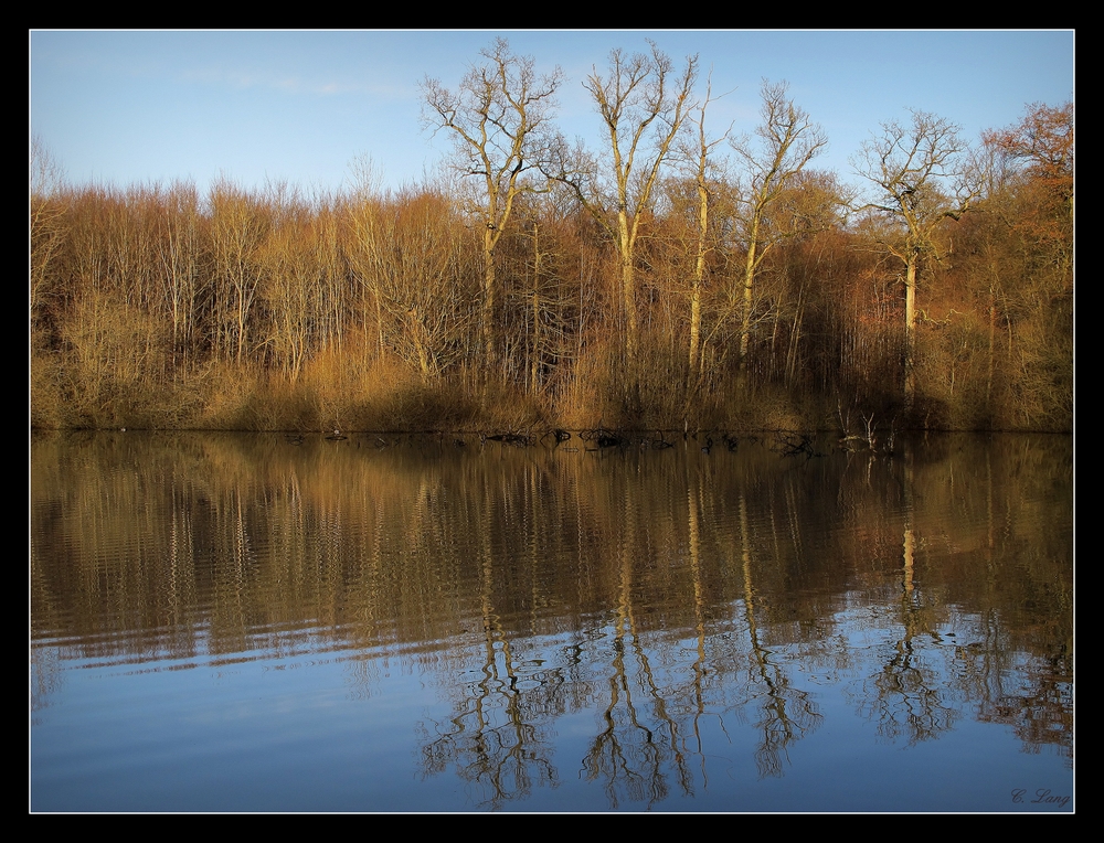 Der Teich II