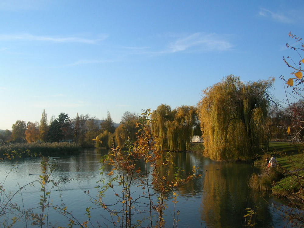 Der Teich im Herbst