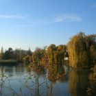 Der Teich im Herbst