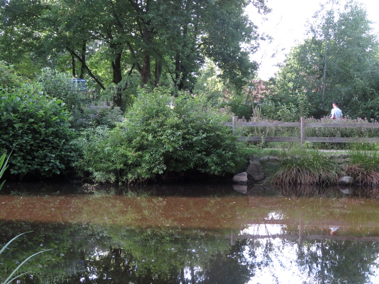 Der Teich im Park ... 