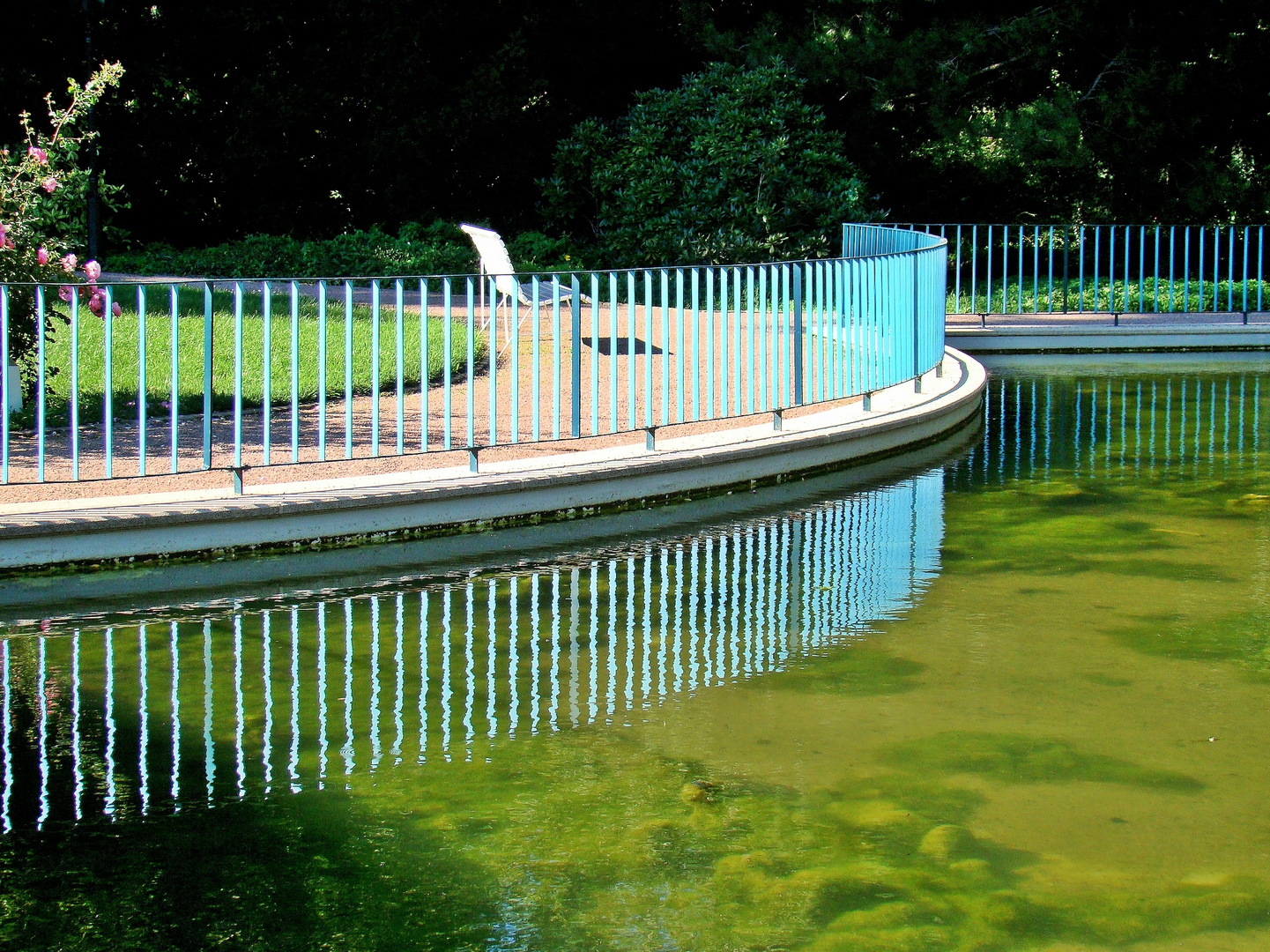 der Teich im Park