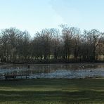 Der Teich im Park