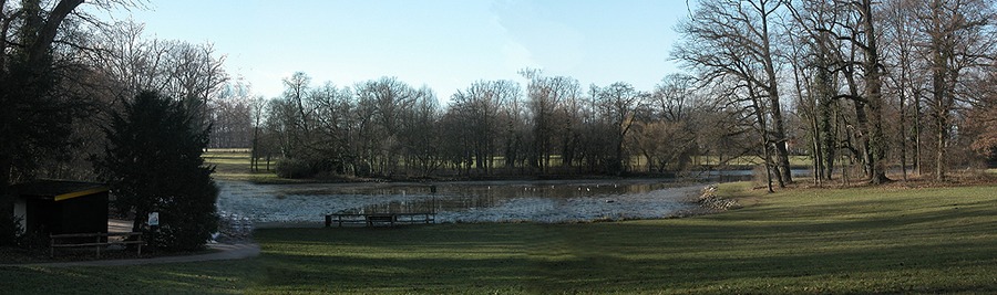 Der Teich im Park