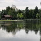 Der Teich in der Günther Klotz Anlage bei Regen