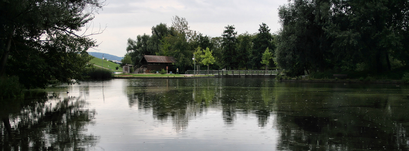 Der Teich in der Günther Klotz Anlage bei Regen