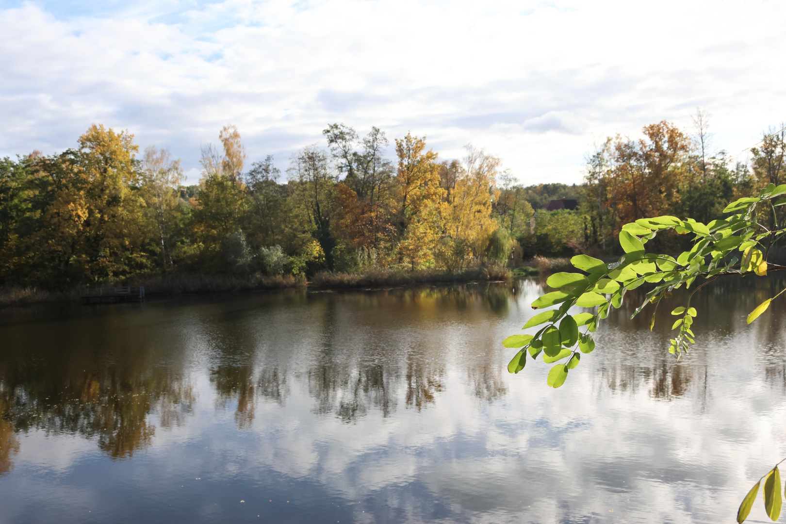 Der Teich in der Vormittagssonne