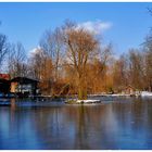 Der Teich war vor einigen Tagen schon mal Eisfrei.....