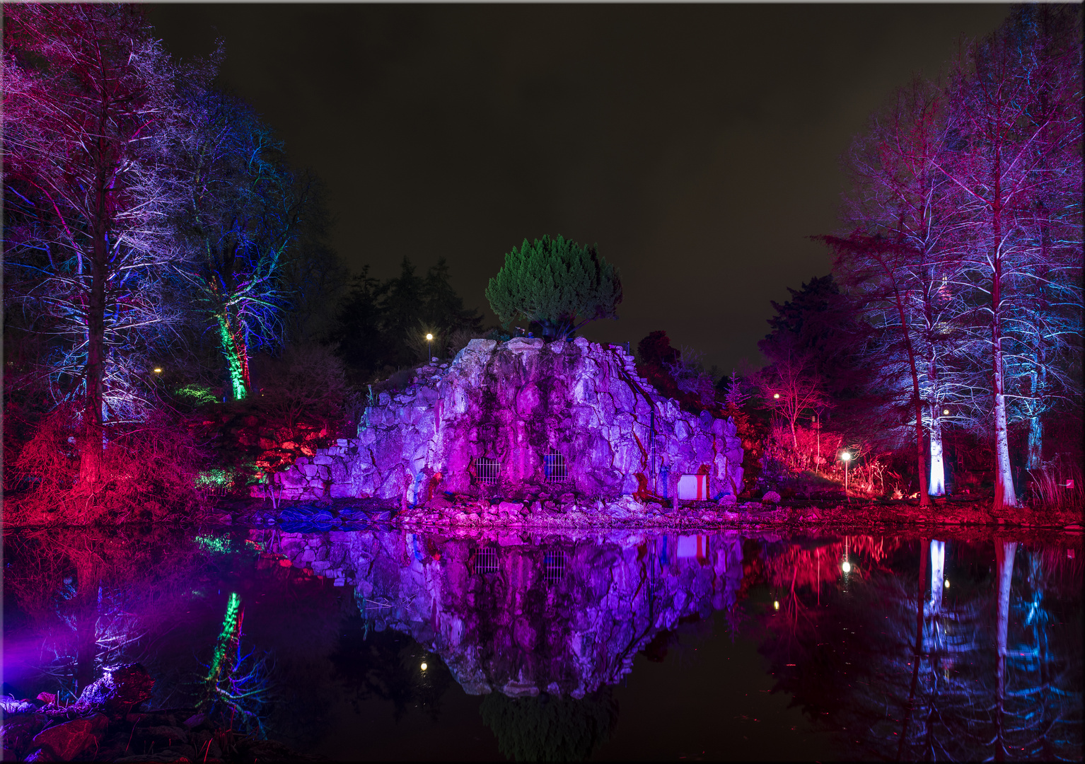 Der Teich...    ... Winterlichter 2019 Palmengarten FFM