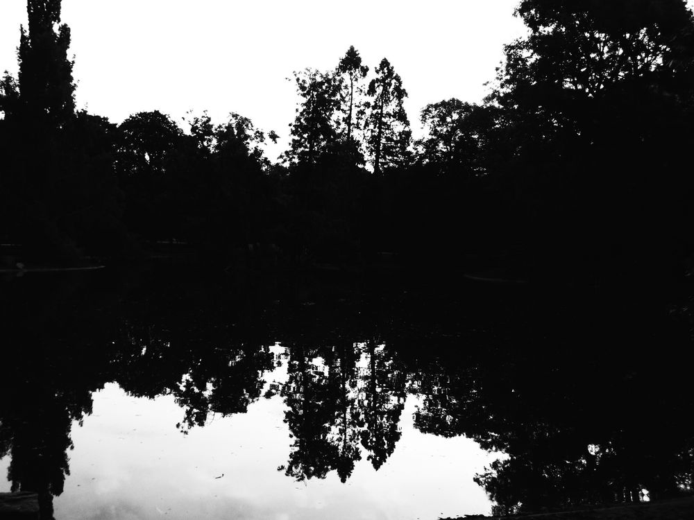 Der teich1020572 Foto & Bild | landschaft, garten- & parklandschaften