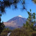 der Teide 2