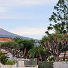 Der Teide bei Sonnenaufgang