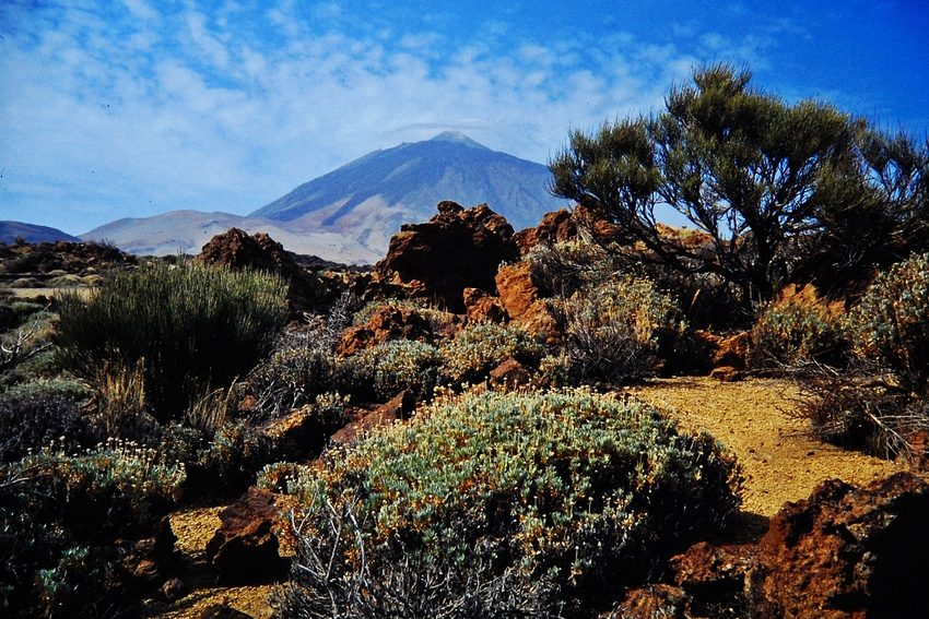 der Teide