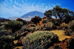 der Teide