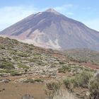 - der  TEIDE - Gipfel -