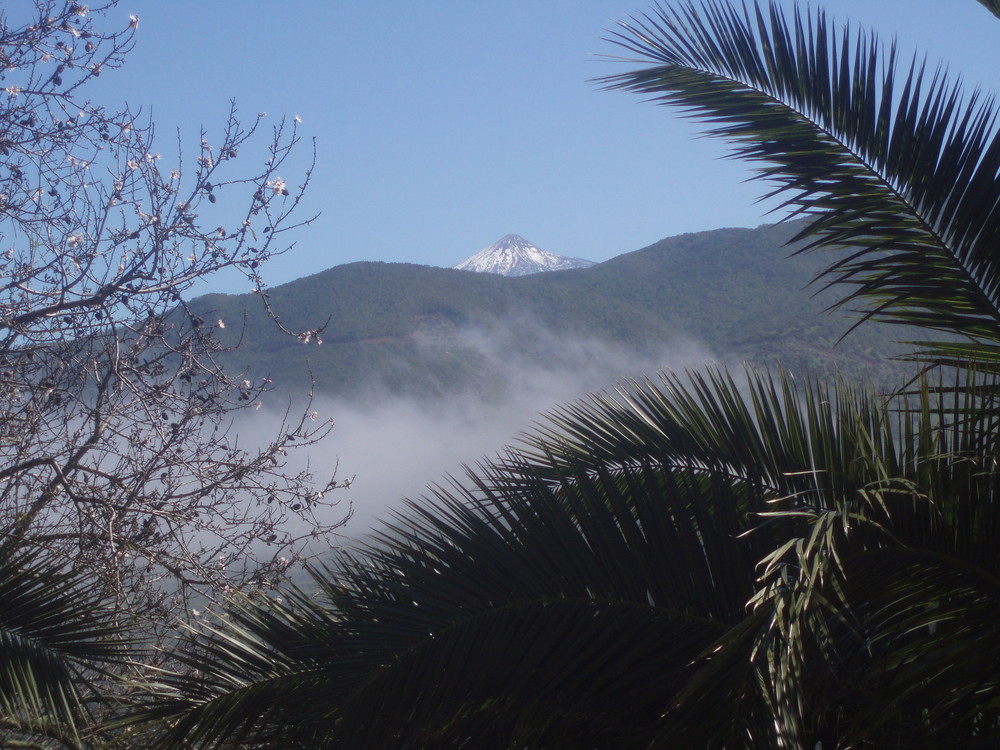 der Teide im Frühling