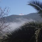 der Teide im Frühling