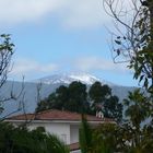 Der Teide mal aus Puerto de la Cruz