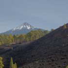 Der Teide mal von Süden