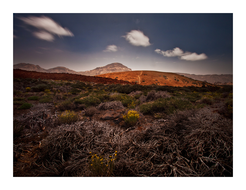 Der Teide Nationalpark