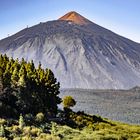 Der Teide / Teneriffa