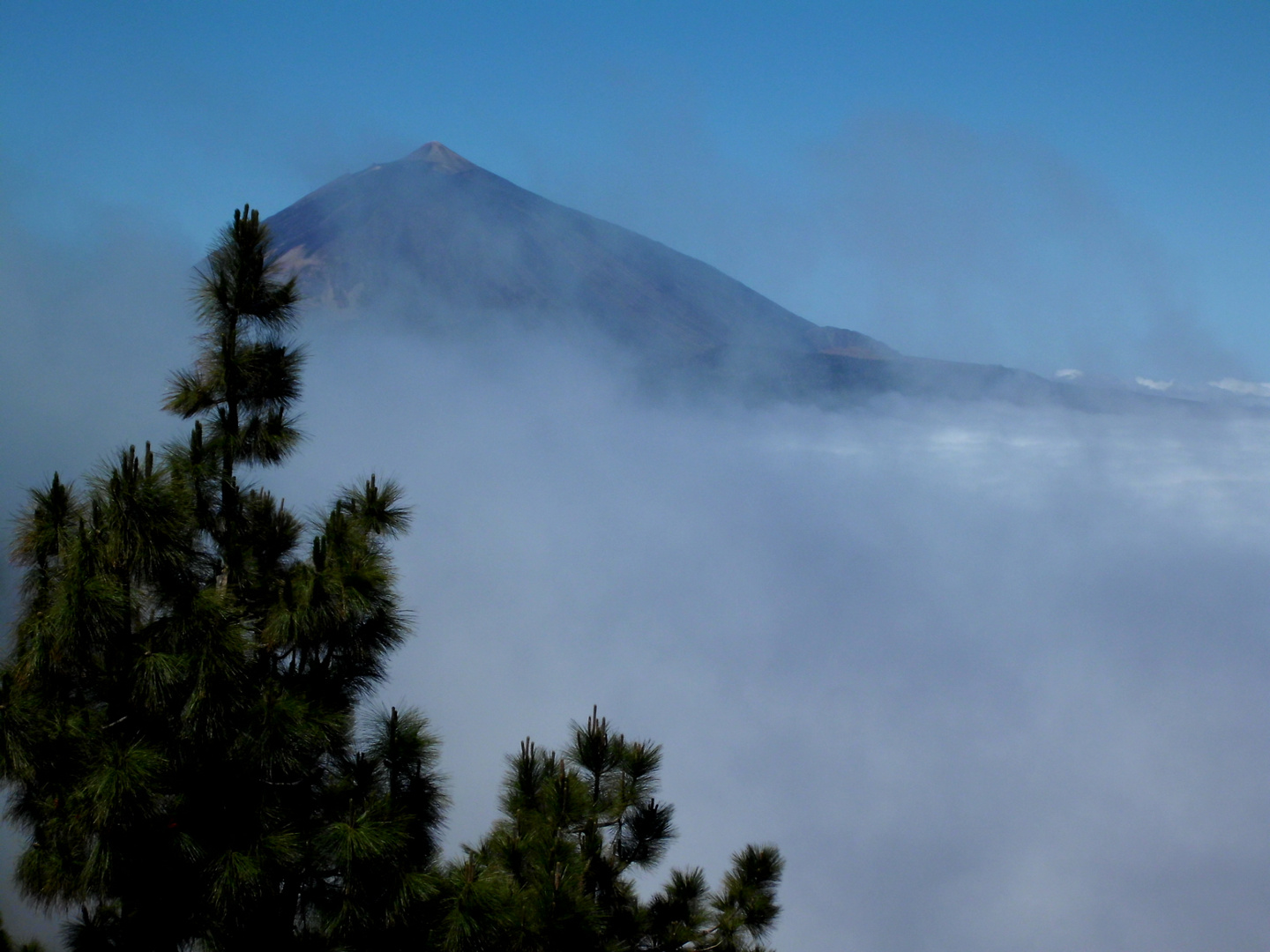 ...der Teide über den Wolken....