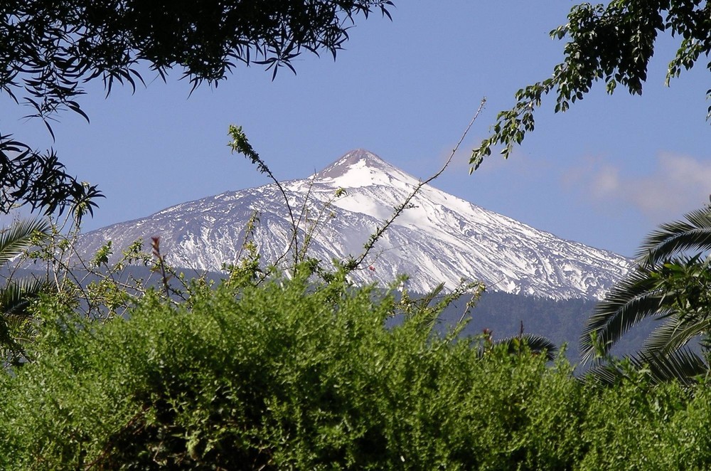 Der Teide vom Garten aus