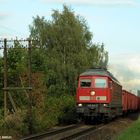 Der Telegrafenmast an der Ostbahn bei Rehfelde am 28.09.2008