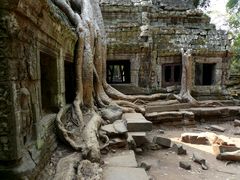 Der Tempel Ta Phrom