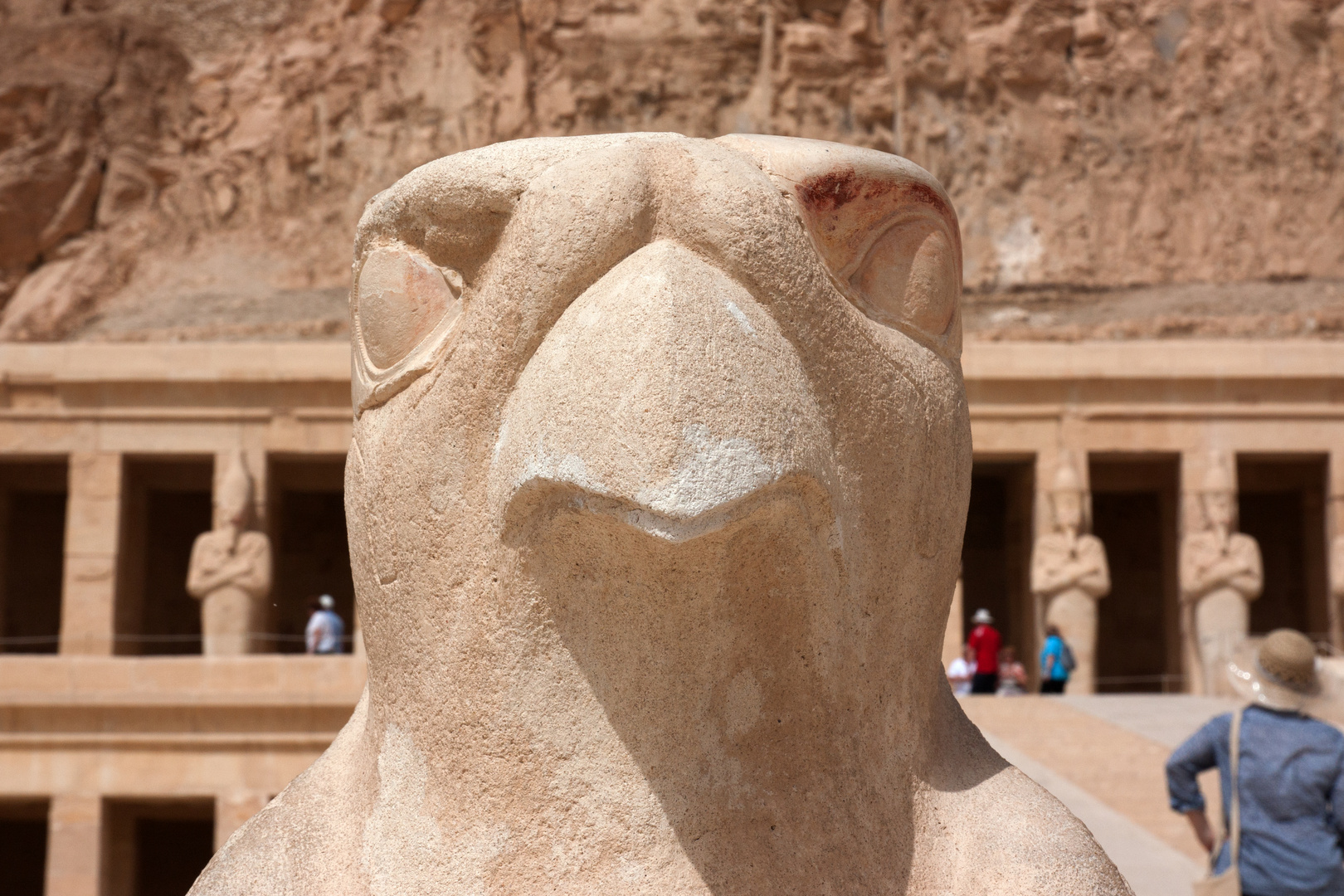 Der Tempel von Hatschepsut, Horusfalke, 2012