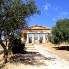 Der Tempel von Segesta