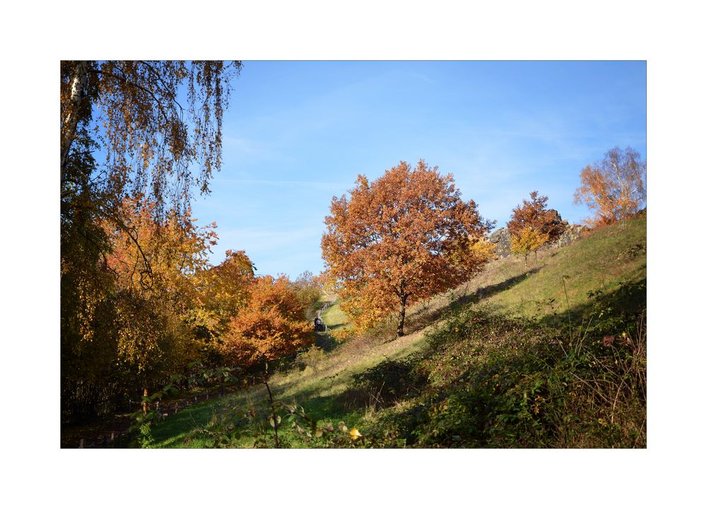 Der Teufelsstieg im Harz