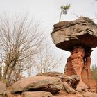 Der Teufelstisch, dessen Gewicht auf 284Tonnen geschätzt wird. Bild 2