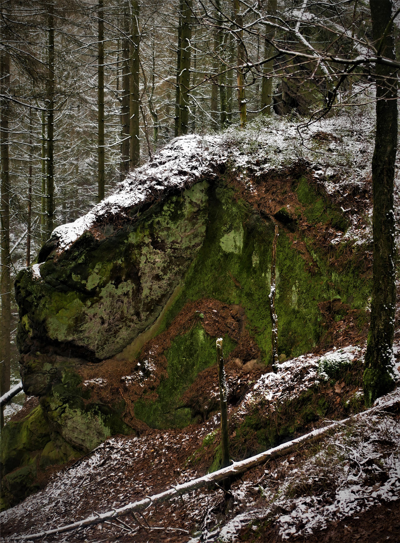 Der Teutoburger Wald im Januar 2021 - Das Hockende Weib im Zuckerschnee