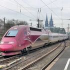 Der THALYS in Köln